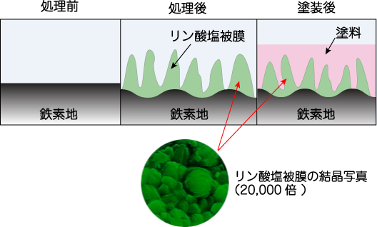 パーカー処理という「化学的ファンデーション」リン酸塩処理の模式図